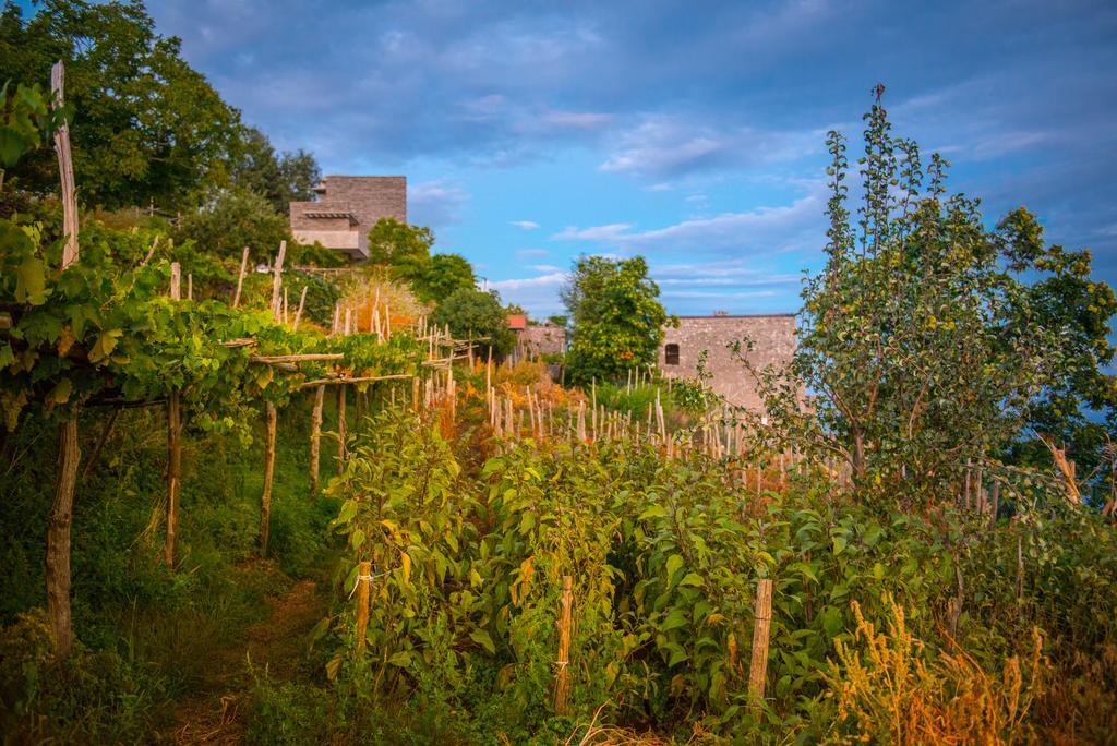 Agriturismo Mare E Monti Villa Agerola Exterior foto